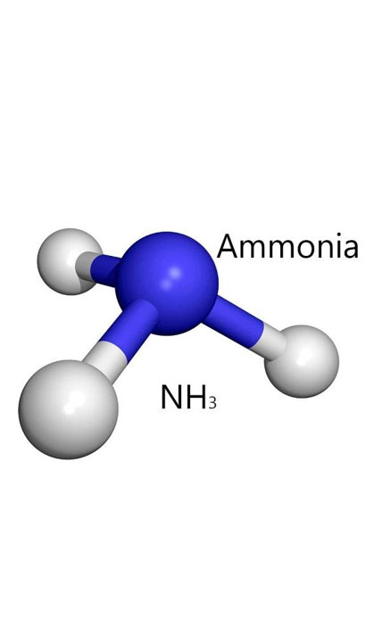 Amonyak Giderici