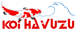 Biyolojik Gölet